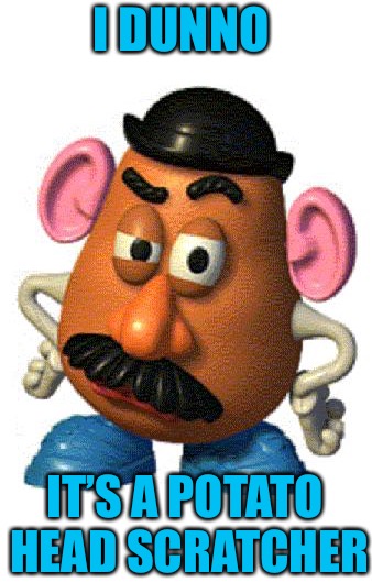 Mr Potato Head | I DUNNO IT’S A POTATO HEAD SCRATCHER | image tagged in mr potato head | made w/ Imgflip meme maker