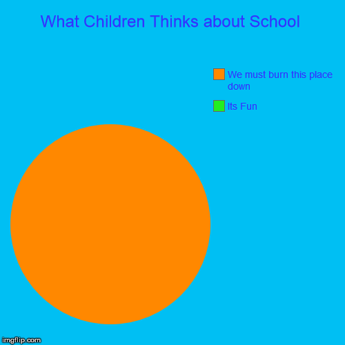 What Children Thinks about School | Its Fun, We must burn this place down | image tagged in funny,pie charts | made w/ Imgflip chart maker