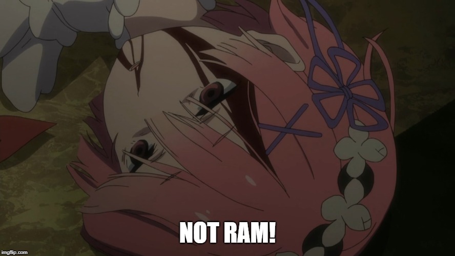 NOT RAM! | made w/ Imgflip meme maker