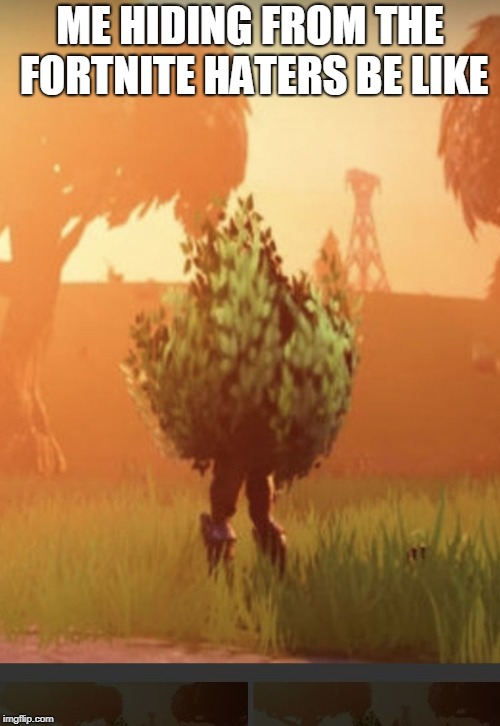 Fortnite bush | ME HIDING FROM THE FORTNITE HATERS BE LIKE | image tagged in fortnite bush | made w/ Imgflip meme maker