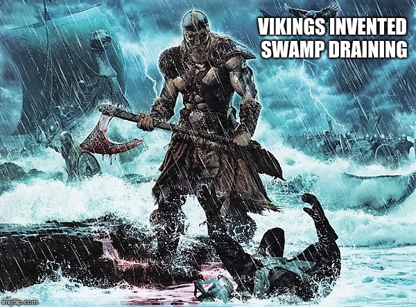 Vikings invented swamp draining | VIKINGS INVENTED SWAMP DRAINING | image tagged in viking,vikings invented swamp draining,maga | made w/ Imgflip meme maker