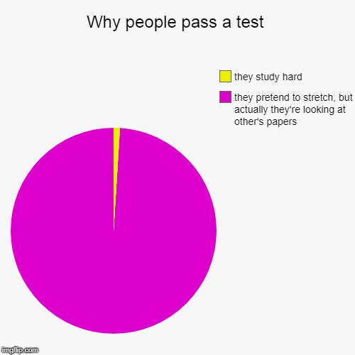 Why people pass a test | they pretend to stretch, but actually they're looking at other's papers, they study hard | image tagged in funny,pie charts | made w/ Imgflip chart maker