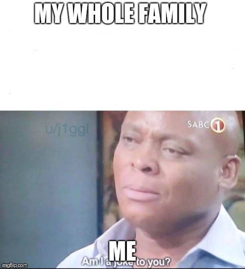 am I a joke to you | MY WHOLE FAMILY; ME | image tagged in am i a joke to you | made w/ Imgflip meme maker