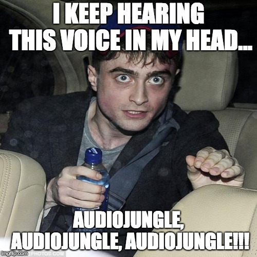 harry potter crazy | I KEEP HEARING THIS VOICE IN MY HEAD... AUDIOJUNGLE, AUDIOJUNGLE, AUDIOJUNGLE!!! | image tagged in harry potter crazy | made w/ Imgflip meme maker