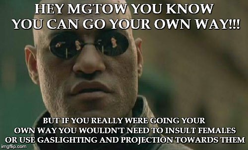Matrix Morpheus | HEY MGTOW YOU KNOW YOU CAN GO YOUR OWN WAY!!! BUT IF YOU REALLY WERE GOING YOUR OWN WAY YOU WOULDN'T NEED TO INSULT FEMALES OR USE GASLIGHTING AND PROJECTION TOWARDS THEM | image tagged in memes,matrix morpheus | made w/ Imgflip meme maker