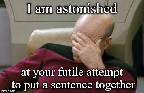 Thy grammar is humiliating | I am astonished at your futile attempt to put a sentence together | image tagged in memes,captain picard facepalm,grammar | made w/ Imgflip meme maker