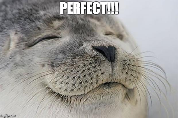 Satisfied Seal Meme | PERFECT!!! | image tagged in memes,satisfied seal | made w/ Imgflip meme maker