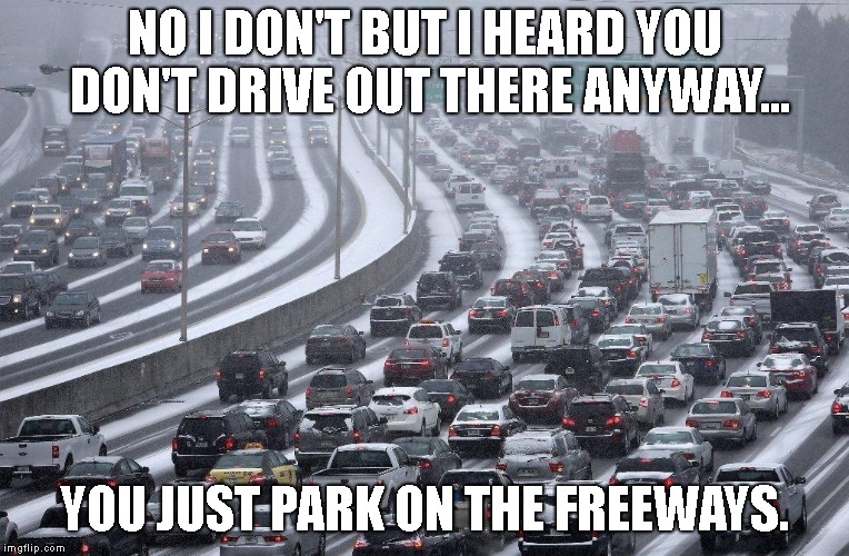 NO I DON'T BUT I HEARD YOU DON'T DRIVE OUT THERE ANYWAY... YOU JUST PARK ON THE FREEWAYS. | made w/ Imgflip meme maker