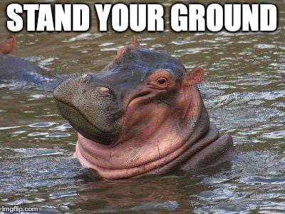 smiling hippo | STAND YOUR GROUND | image tagged in smiling hippo | made w/ Imgflip meme maker