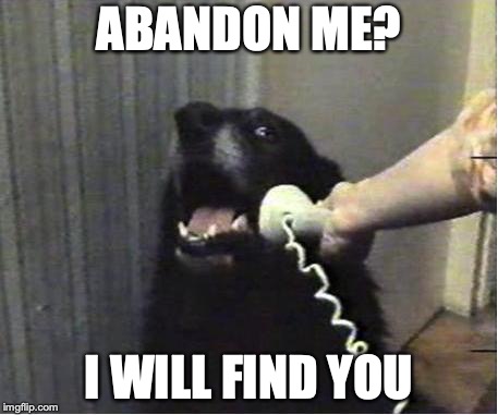 Yes this is dog | ABANDON ME? I WILL FIND YOU | image tagged in yes this is dog | made w/ Imgflip meme maker