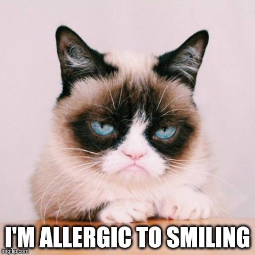 grumpy cat again | I'M ALLERGIC TO SMILING | image tagged in grumpy cat again | made w/ Imgflip meme maker