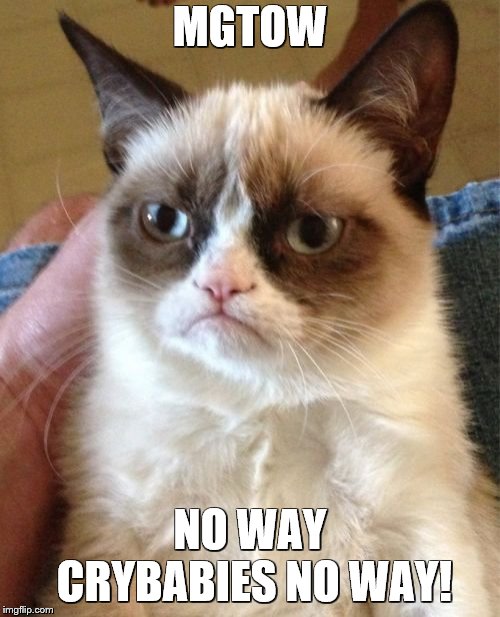 Grumpy Cat | MGTOW; NO WAY CRYBABIES NO WAY! | image tagged in memes,grumpy cat | made w/ Imgflip meme maker