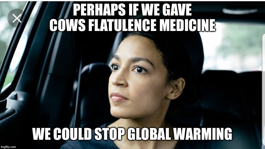 Help the cows help us | PERHAPS IF WE GAVE COWS FLATULENCE MEDICINE; WE COULD STOP GLOBAL WARMING | image tagged in alexandria deep thoughts | made w/ Imgflip meme maker