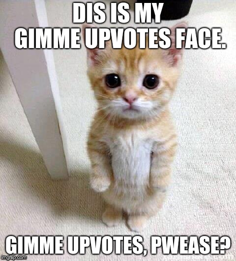 Cute Cat Meme | DIS IS MY GIMME UPVOTES FACE. GIMME UPVOTES, PWEASE? | image tagged in memes,cute cat | made w/ Imgflip meme maker