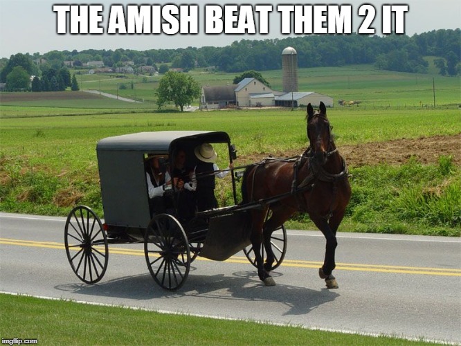 Amish Peeps | THE AMISH BEAT THEM 2 IT | image tagged in amish peeps | made w/ Imgflip meme maker