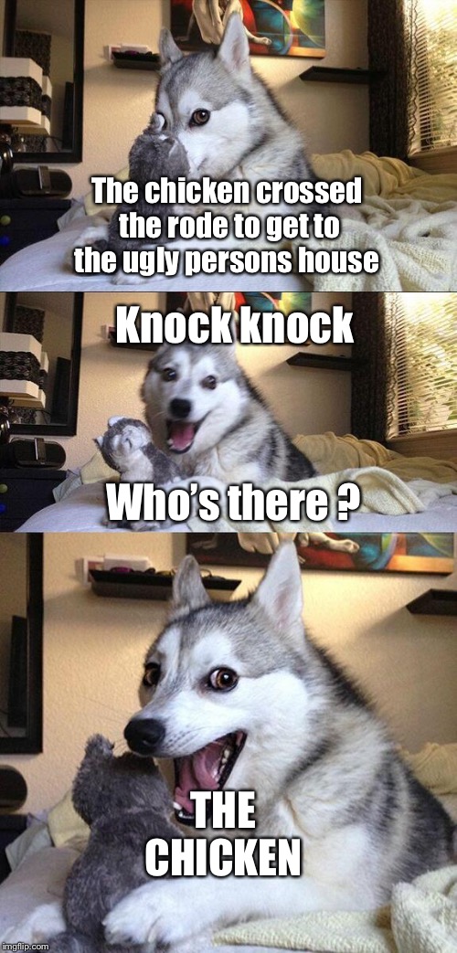 Bad Pun Dog Meme | The chicken crossed the rode to get to the ugly persons house; Knock knock; Who’s there ? THE CHICKEN | image tagged in memes,bad pun dog | made w/ Imgflip meme maker