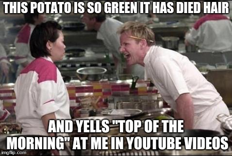 Angry Chef Gordon Ramsay Meme | THIS POTATO IS SO GREEN IT HAS DIED HAIR; AND YELLS "TOP OF THE MORNING" AT ME IN YOUTUBE VIDEOS | image tagged in memes,angry chef gordon ramsay | made w/ Imgflip meme maker