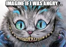 the world may end... | IMAGINE IF I WAS ANGRY. . . | image tagged in funny meme | made w/ Imgflip meme maker