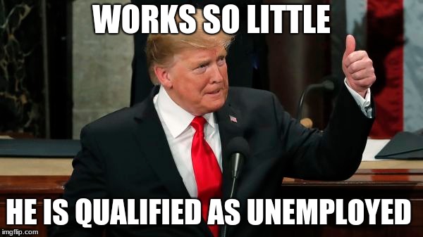 WORKS SO LITTLE; HE IS QUALIFIED AS UNEMPLOYED | image tagged in politics | made w/ Imgflip meme maker