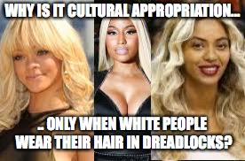 WHY IS IT CULTURAL APPROPRIATION... .. ONLY WHEN WHITE PEOPLE WEAR THEIR HAIR IN DREADLOCKS? | image tagged in blondes | made w/ Imgflip meme maker