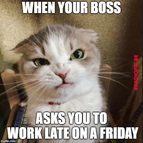 Work late | WHEN YOUR BOSS; ASKS YOU TO WORK LATE ON A FRIDAY | image tagged in boss,friday,overtime,weekend,cats | made w/ Imgflip meme maker