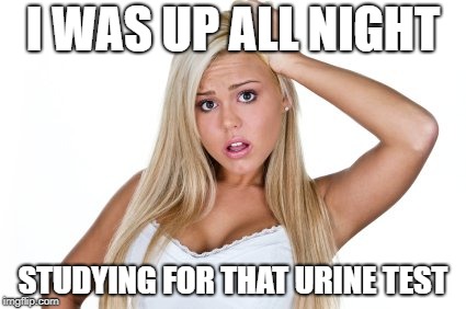 Dumb Blonde | I WAS UP ALL NIGHT STUDYING FOR THAT URINE TEST | image tagged in dumb blonde,urine test | made w/ Imgflip meme maker