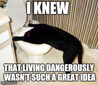 Sick Puppy | I KNEW THAT LIVING DANGEROUSLY WASN'T SUCH A GREAT IDEA | image tagged in sick puppy | made w/ Imgflip meme maker