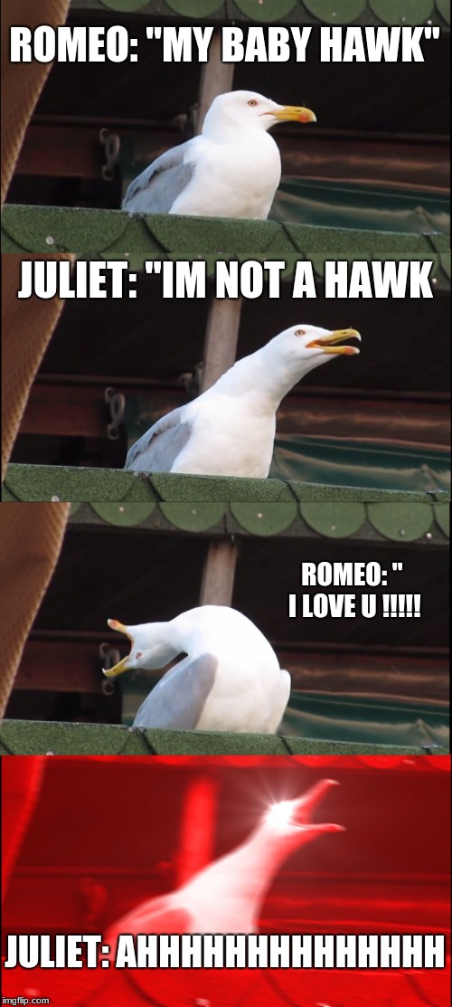 Inhaling Seagull Meme | ROMEO: "MY BABY HAWK"; JULIET: "IM NOT A HAWK; ROMEO: " I LOVE U !!!!! JULIET: AHHHHHHHHHHHHHH | image tagged in memes,inhaling seagull | made w/ Imgflip meme maker