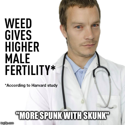Marijuana Miracle Plant | "MORE SPUNK WITH SKUNK" | image tagged in medical marijuana,funny memes,doctor | made w/ Imgflip meme maker