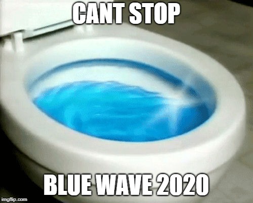 Blue Wave | CANT STOP BLUE WAVE 2020 | image tagged in blue wave | made w/ Imgflip meme maker