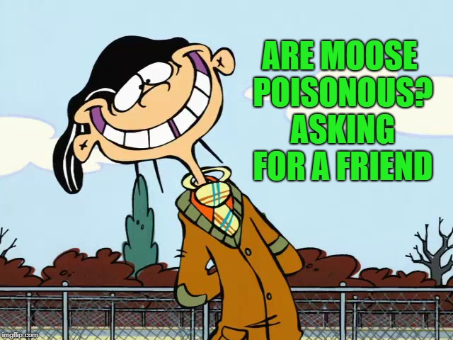 there are no stupid questions | ARE MOOSE POISONOUS? ASKING FOR A FRIEND | image tagged in double-d,ed edd and eddie | made w/ Imgflip meme maker