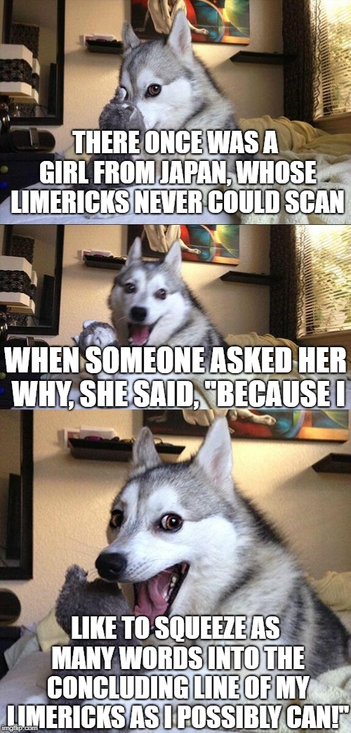 Bad Pun Dog | THERE ONCE WAS A GIRL FROM JAPAN, WHOSE LIMERICKS NEVER COULD SCAN; WHEN SOMEONE ASKED HER WHY, SHE SAID, "BECAUSE I; LIKE TO SQUEEZE AS MANY WORDS INTO THE CONCLUDING LINE OF MY LIMERICKS AS I POSSIBLY CAN!" | image tagged in memes,bad pun dog | made w/ Imgflip meme maker