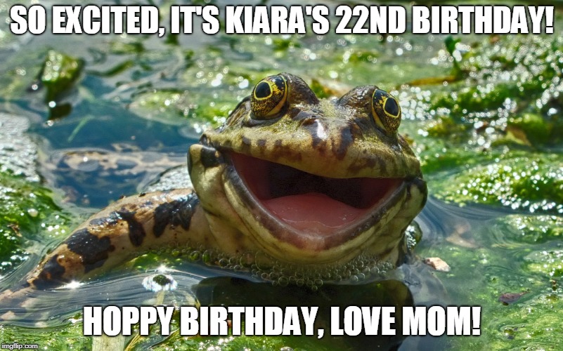 SO EXCITED, IT'S KIARA'S 22ND BIRTHDAY! HOPPY BIRTHDAY, LOVE MOM! | image tagged in happy frog | made w/ Imgflip meme maker