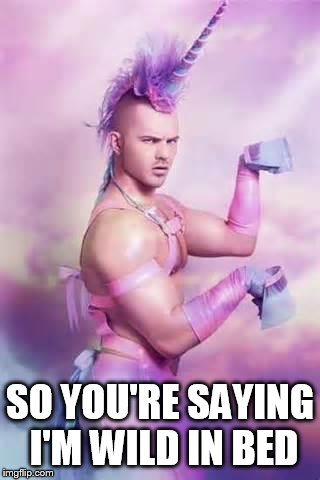 Gay Unicorn | SO YOU'RE SAYING I'M WILD IN BED | image tagged in gay unicorn | made w/ Imgflip meme maker