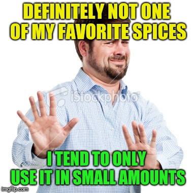 No thanks | DEFINITELY NOT ONE OF MY FAVORITE SPICES I TEND TO ONLY USE IT IN SMALL AMOUNTS | image tagged in no thanks | made w/ Imgflip meme maker