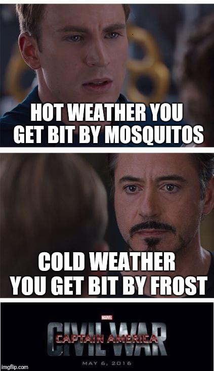 Marvel Civil War 1 Meme | HOT WEATHER YOU GET BIT BY MOSQUITOS; COLD WEATHER YOU GET BIT BY FROST | image tagged in memes,marvel civil war 1 | made w/ Imgflip meme maker