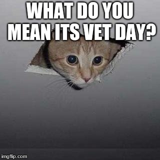 Ceiling Cat | WHAT DO YOU MEAN ITS VET DAY? | image tagged in memes,ceiling cat | made w/ Imgflip meme maker