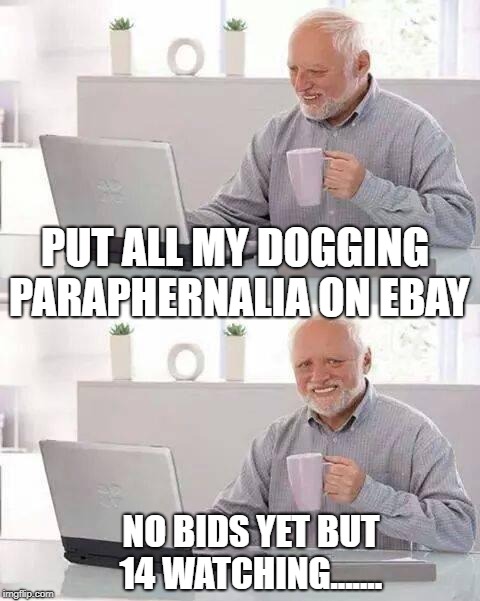 Hide the Pain Harold Meme | PUT ALL MY DOGGING PARAPHERNALIA ON EBAY; NO BIDS YET BUT 14 WATCHING....... | image tagged in memes,hide the pain harold | made w/ Imgflip meme maker
