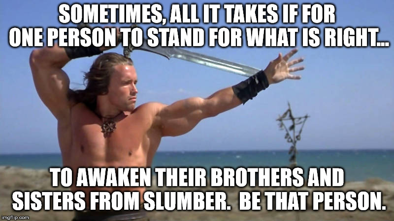 Conan The Barbarian | SOMETIMES, ALL IT TAKES IF FOR ONE PERSON TO STAND FOR WHAT IS RIGHT... TO AWAKEN THEIR BROTHERS AND SISTERS FROM SLUMBER.  BE THAT PERSON. | image tagged in conan the barbarian | made w/ Imgflip meme maker
