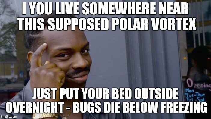 Roll Safe Think About It Meme | I YOU LIVE SOMEWHERE NEAR THIS SUPPOSED POLAR VORTEX JUST PUT YOUR BED OUTSIDE OVERNIGHT - BUGS DIE BELOW FREEZING | image tagged in memes,roll safe think about it | made w/ Imgflip meme maker
