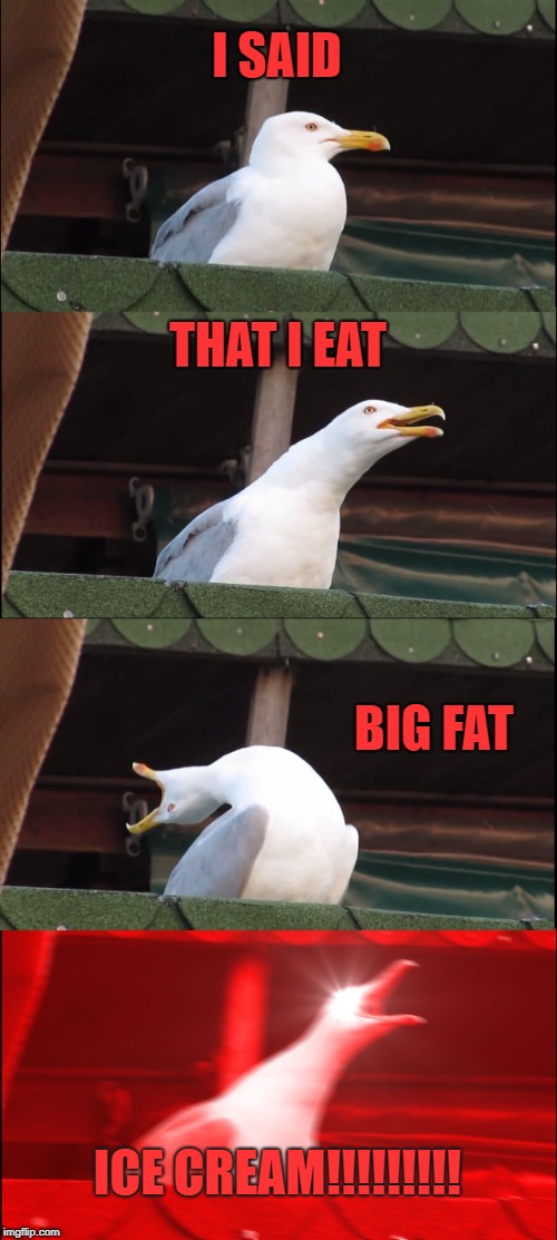 Inhaling Seagull Meme | I SAID; THAT I EAT; BIG FAT; ICE CREAM!!!!!!!!! | image tagged in memes,inhaling seagull | made w/ Imgflip meme maker