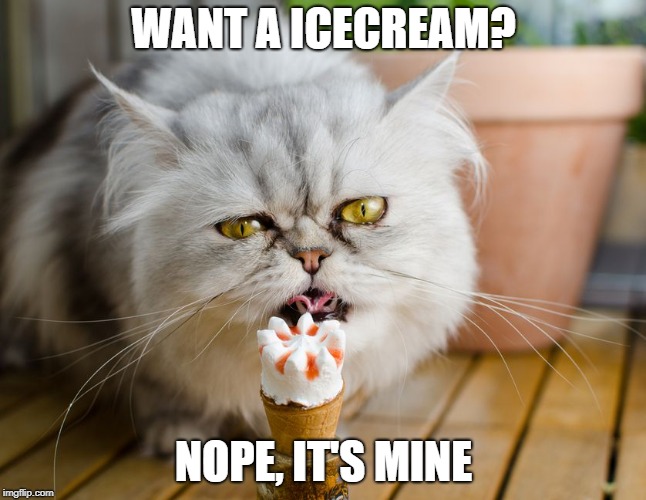 Selfish and Mean cat | WANT A ICECREAM? NOPE, IT'S MINE | image tagged in selfish,mean,cat,selfish and mean,icecream | made w/ Imgflip meme maker