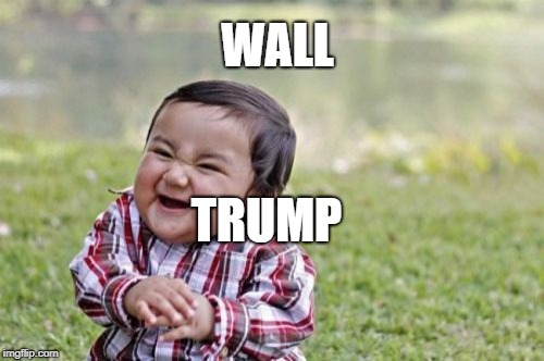 Evil Toddler | WALL; TRUMP | image tagged in memes,evil toddler | made w/ Imgflip meme maker