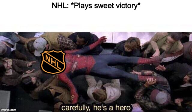 Carefully he's a hero | NHL: *Plays sweet victory* | image tagged in carefully he's a hero | made w/ Imgflip meme maker