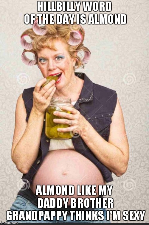 Hillbilly Wife | HILLBILLY WORD OF THE DAY IS ALMOND; ALMOND LIKE MY DADDY BROTHER GRANDPAPPY THINKS I'M SEXY | image tagged in hillbilly wife | made w/ Imgflip meme maker