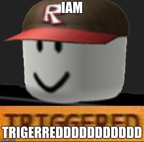 Roblox Triggered | IAM; TRIGERREDDDDDDDDDDD | image tagged in roblox triggered | made w/ Imgflip meme maker