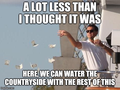 Leonardo DiCaprio throwing Money  | A LOT LESS THAN I THOUGHT IT WAS HERE, WE CAN WATER THE COUNTRYSIDE WITH THE REST OF THIS | image tagged in leonardo dicaprio throwing money | made w/ Imgflip meme maker