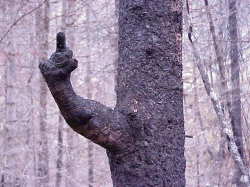 image tagged in funny