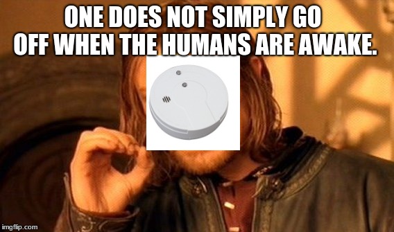 One Does Not Simply | ONE DOES NOT SIMPLY GO OFF WHEN THE HUMANS ARE AWAKE. | image tagged in memes,one does not simply | made w/ Imgflip meme maker