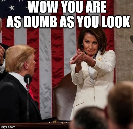 As Dumb as You Look | WOW YOU ARE AS DUMB AS YOU LOOK | image tagged in donald trump,nancy pelosi,moron,dumb,clap | made w/ Imgflip meme maker